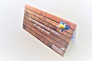 British Gas 'Roof' direct mail
